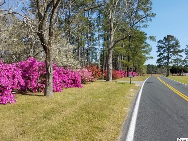1055 Cane Branch Road Loris, SC 29569 - Photo 8 of 30 Gallery Image 8