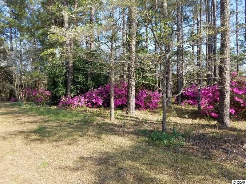 1055 Cane Branch Road Loris, SC 29569 - Photo 9 of 30 Gallery Image 9