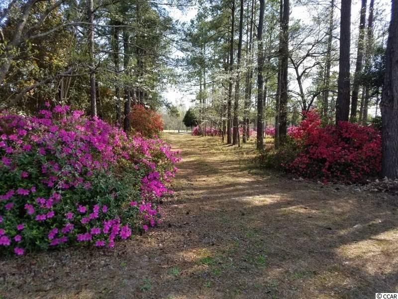1055 Cane Branch Road Loris, SC 29569 - Photo 10 of 30 Gallery Image 10