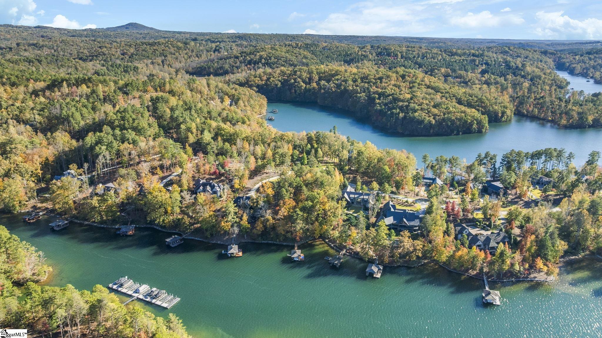 374 Peninsula Ridge Sunset, SC 29685 - Photo 11 of 48