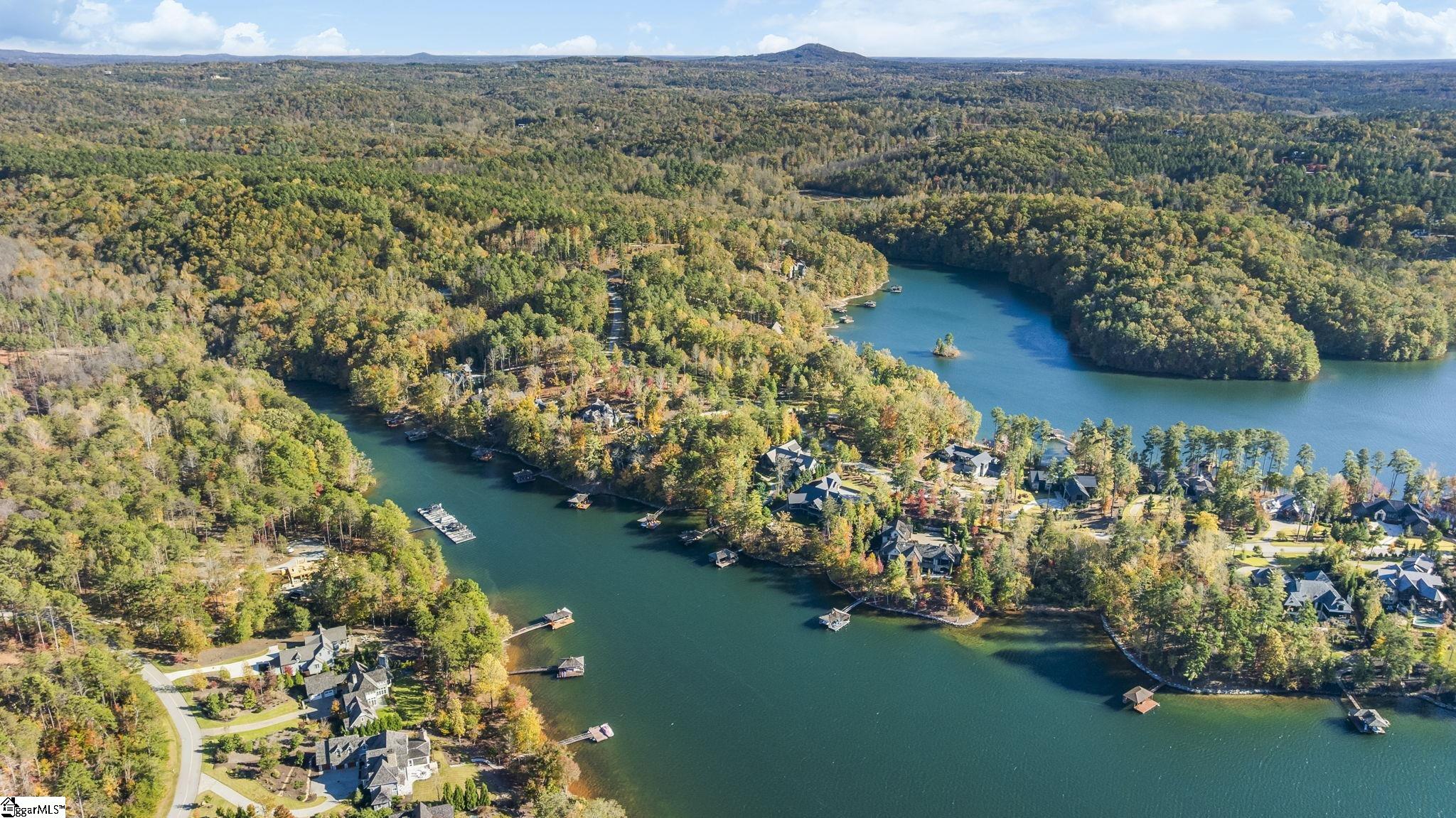 374 Peninsula Ridge Sunset, SC 29685 - Photo 11 of 47