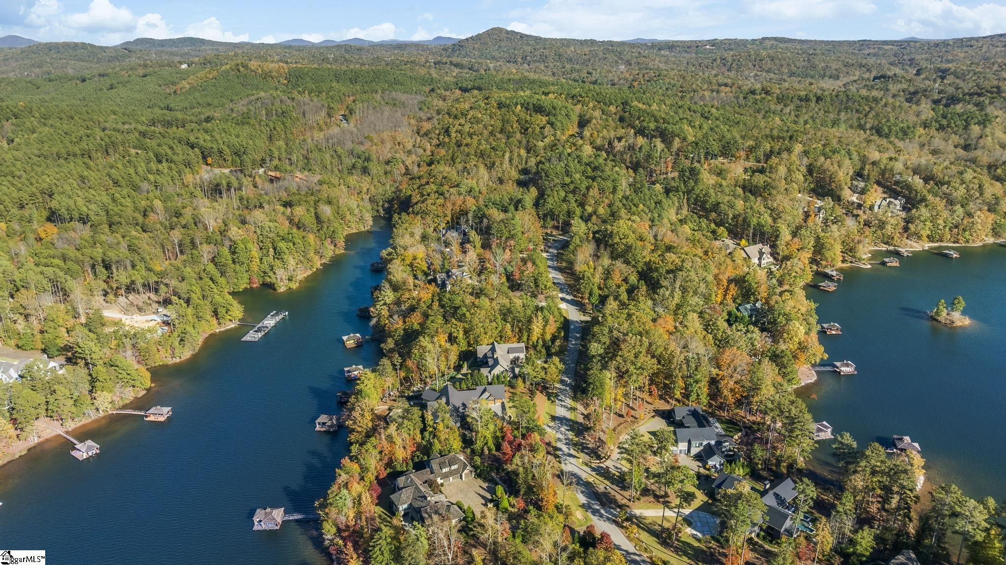 374 Peninsula Ridge Sunset, SC 29685 - Photo 12 of 47