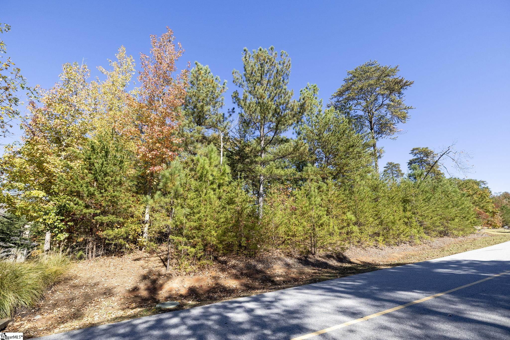 374 Peninsula Ridge Sunset, SC 29685 - Photo 16 of 47
