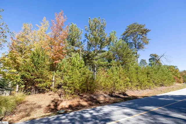 $2,650,000 | 374 Peninsula Ridge, Sunset, SC 29685