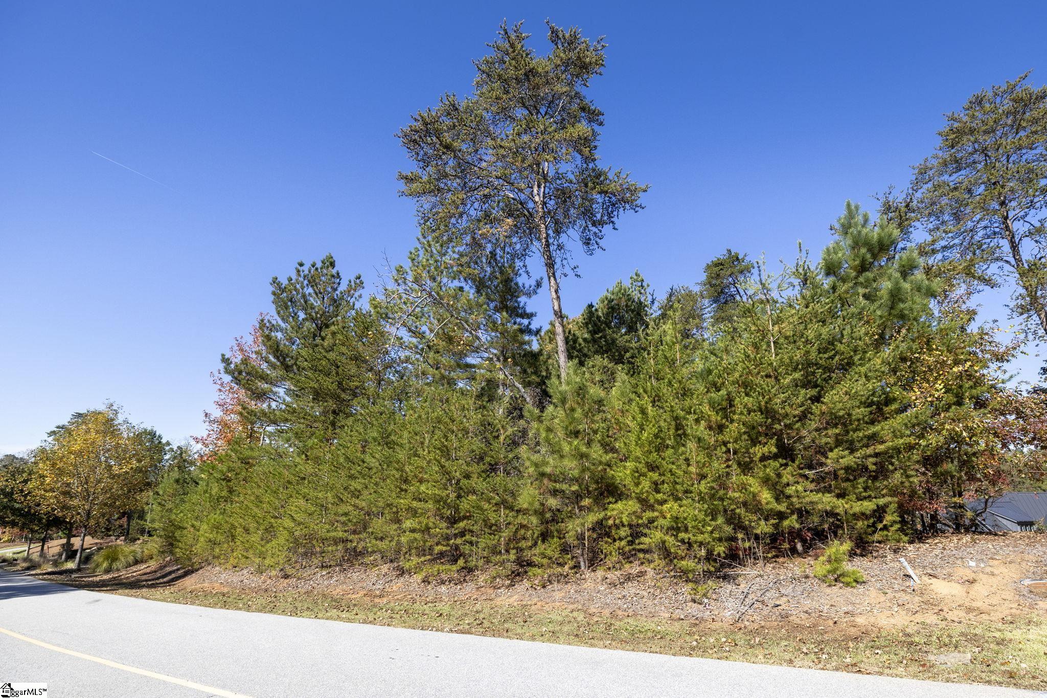 374 Peninsula Ridge Sunset, SC 29685 - Photo 17 of 47