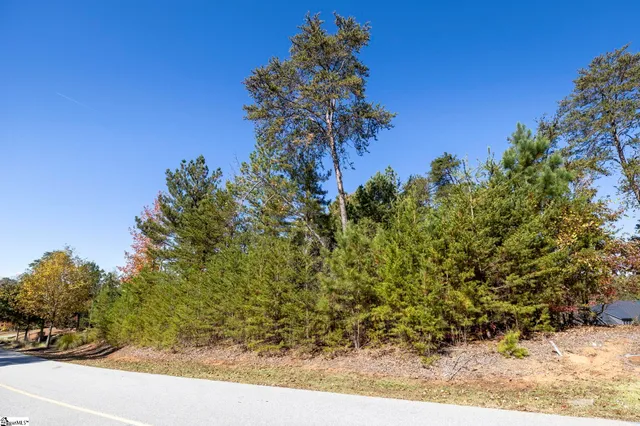 $2,650,000 | 374 Peninsula Ridge, Sunset, SC 29685