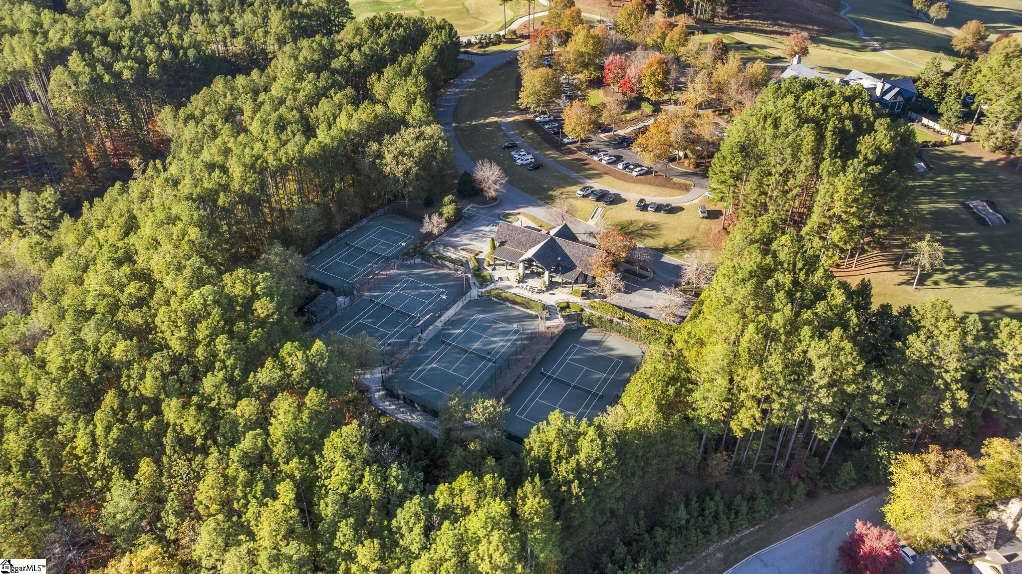 374 Peninsula Ridge Sunset, SC 29685 - Photo 29 of 48