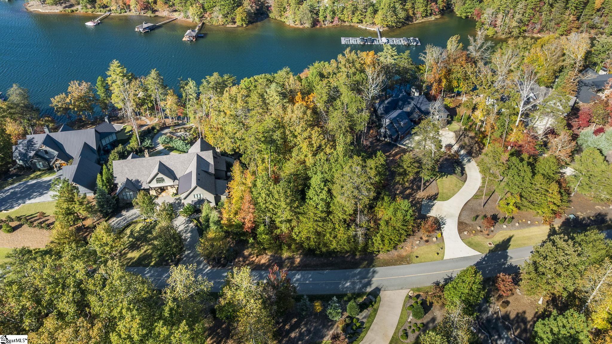 374 Peninsula Ridge Sunset, SC 29685 - Photo 4 of 47