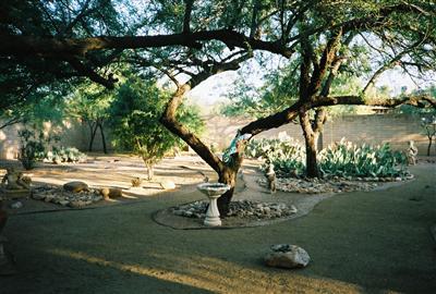 155 East Rudasill Road Tucson, AZ 85704 - Photo 10 of 10 Gallery Image 10