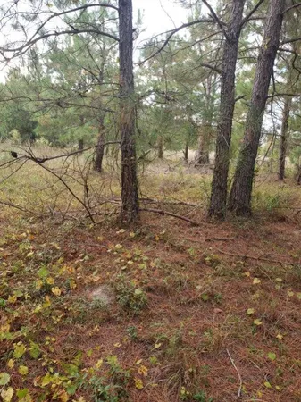 $35,000 | 808 Lakeside View Lane, Orangeburg, SC 29118