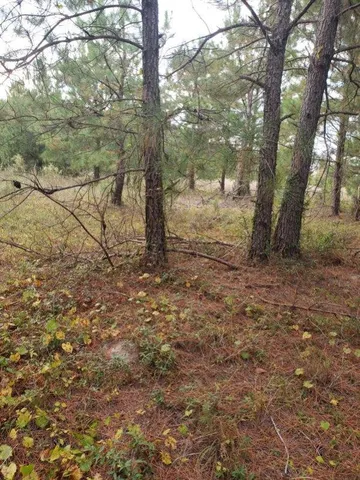 $45,000 | 808 Lakeside View Lane, Orangeburg, SC 29118