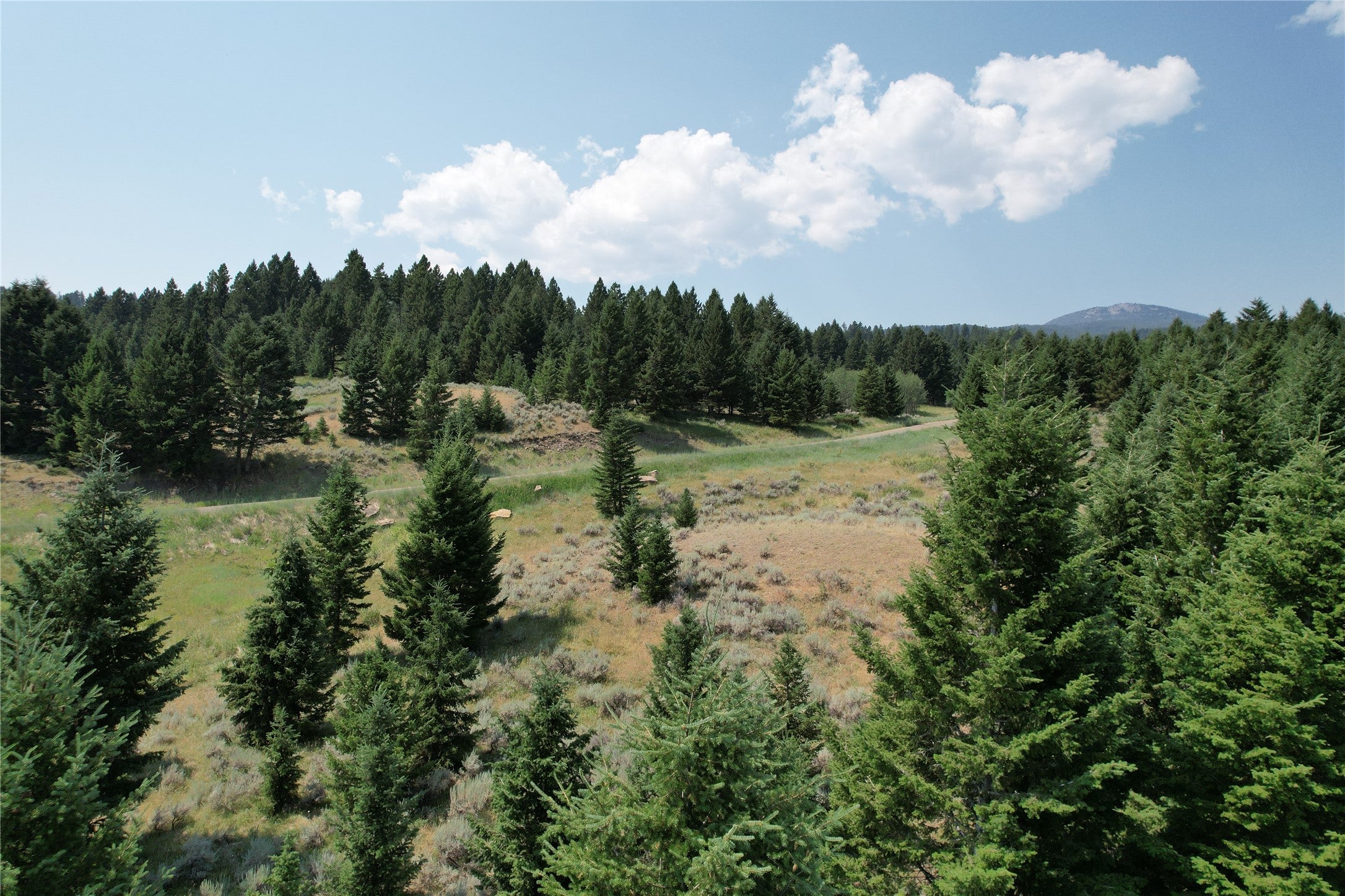 Lot 25 Sun West Ranch Cameron, MT 59720 - Photo 10 of 30 Gallery Image 10