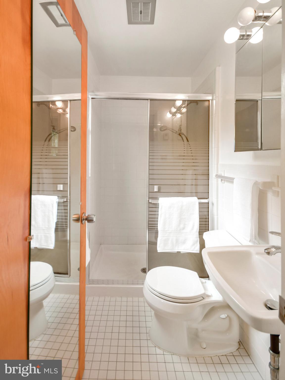 7321 Parkview Drive Frederick, MD 21702 - Photo 27 of 51 Master Bath