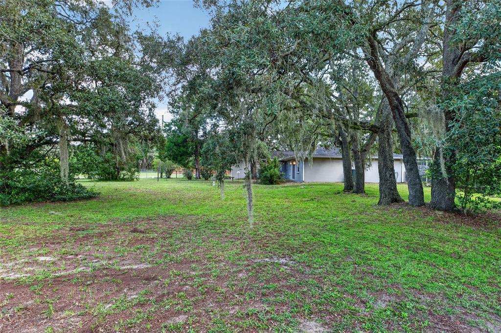 15620 Hays Road Spring Hill, FL 34610 - Photo 73 of 79 Gallery Image 73