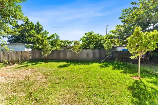 a backyard of a house with plants and large tree