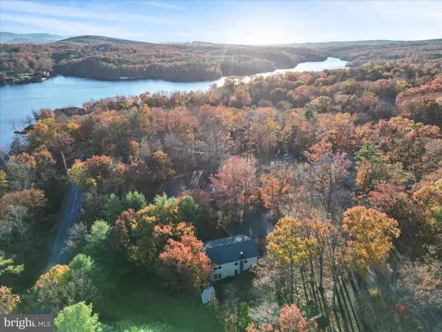 a view of a livingroom with furniture hardwood floor ceiling fan and a window