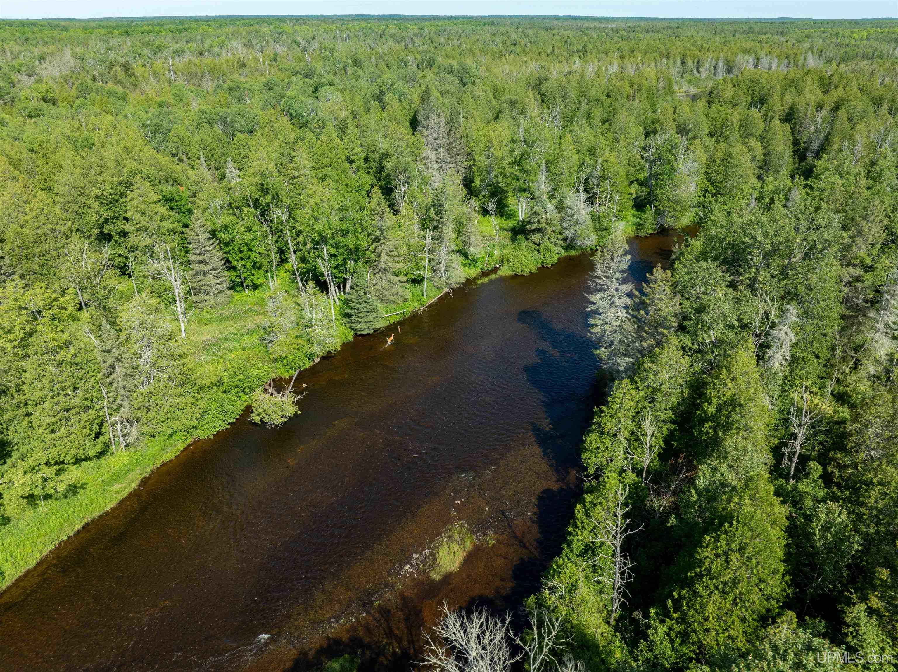 75 Rd Rapid River Munising, MI 49862 - Photo 16 of 48