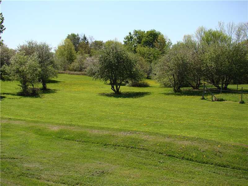 128 Moose Brook Road Ludlow, ME 04730 - Photo 30 of 34 Land/Lot. Lots of apple tree s and...