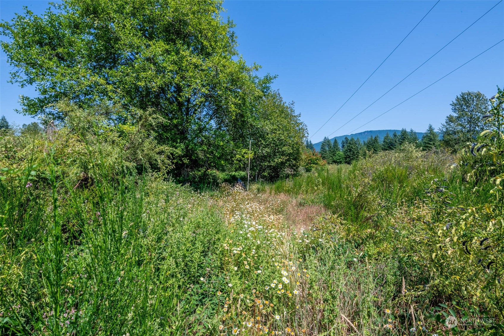 197 Obsidian Drive Ariel, WA 98603 - Photo 12 of 19 a view of a garden