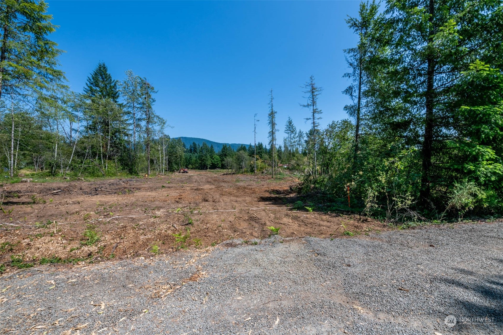 197 Obsidian Drive Ariel, WA 98603 - Photo 13 of 19 a view of a field with trees in background