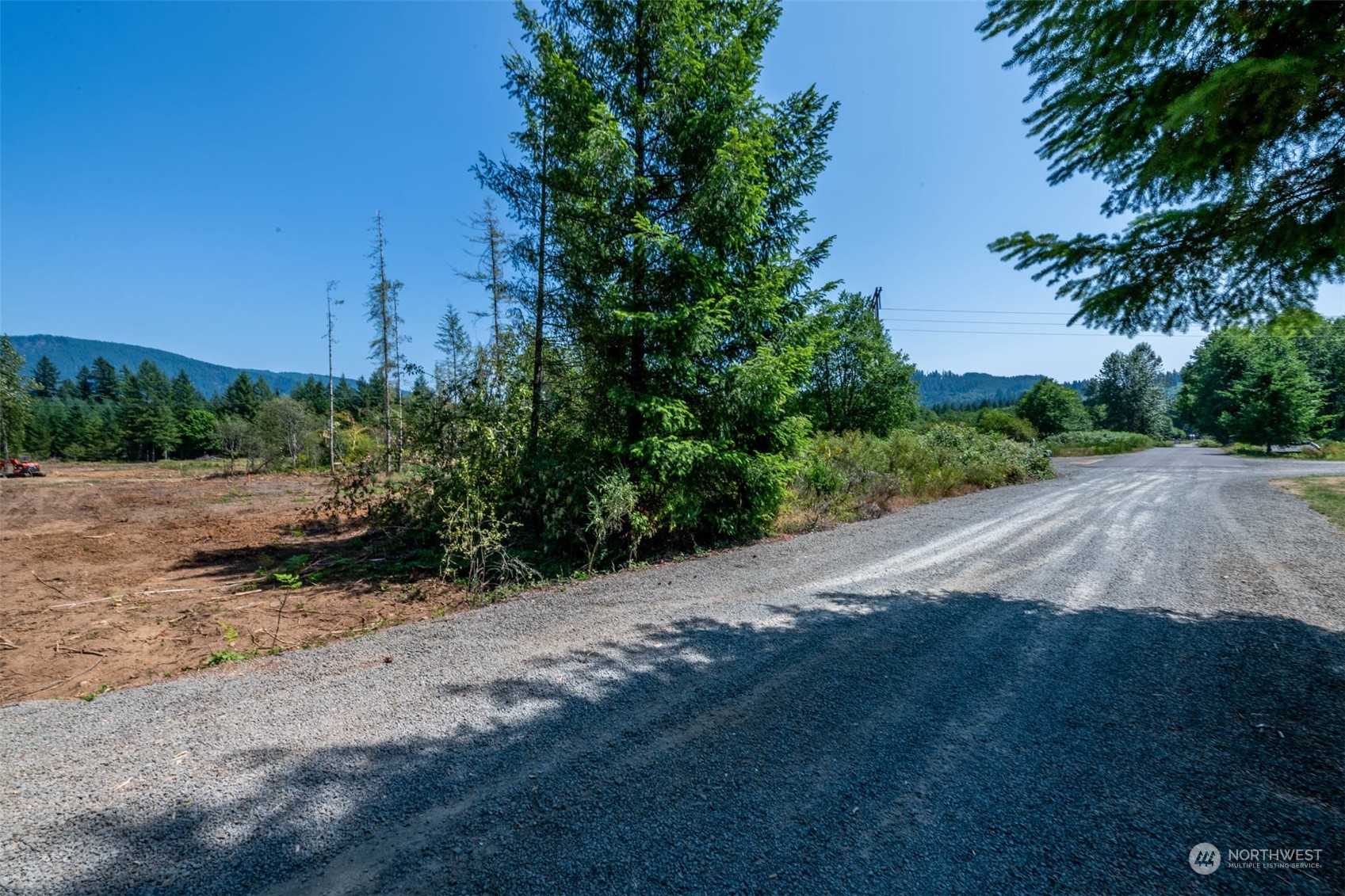 197 Obsidian Drive Ariel, WA 98603 - Photo 14 of 19 a view of a street view