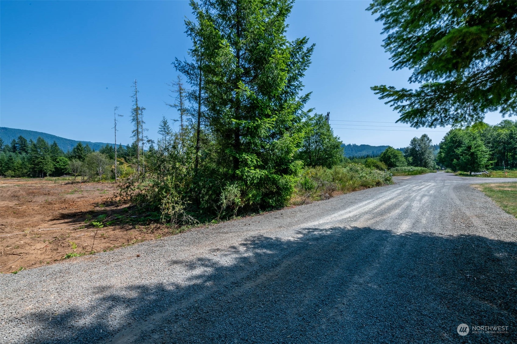197 Obsidian Drive Ariel, WA 98603 - Photo 15 of 19 a view of a street view