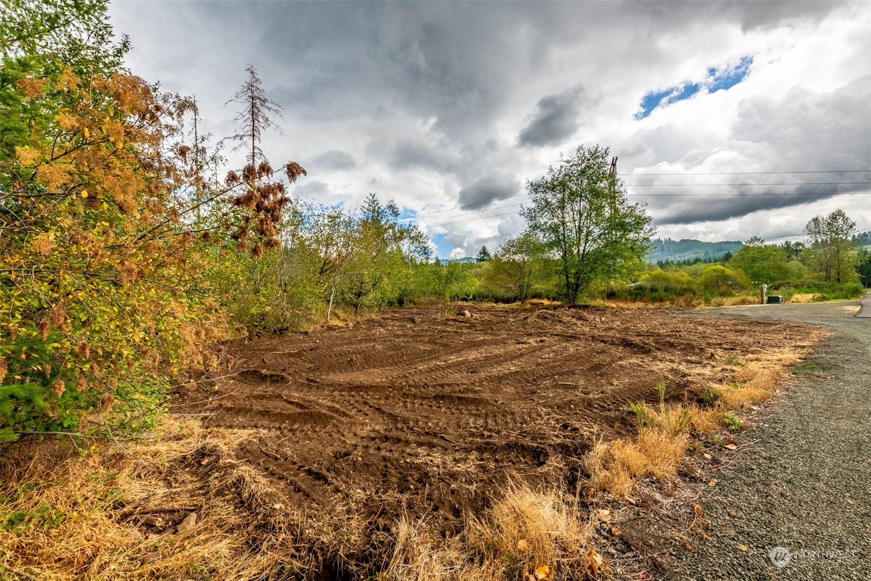197 Obsidian Drive Ariel, WA 98603 - Photo 17 of 19 a view of a yard