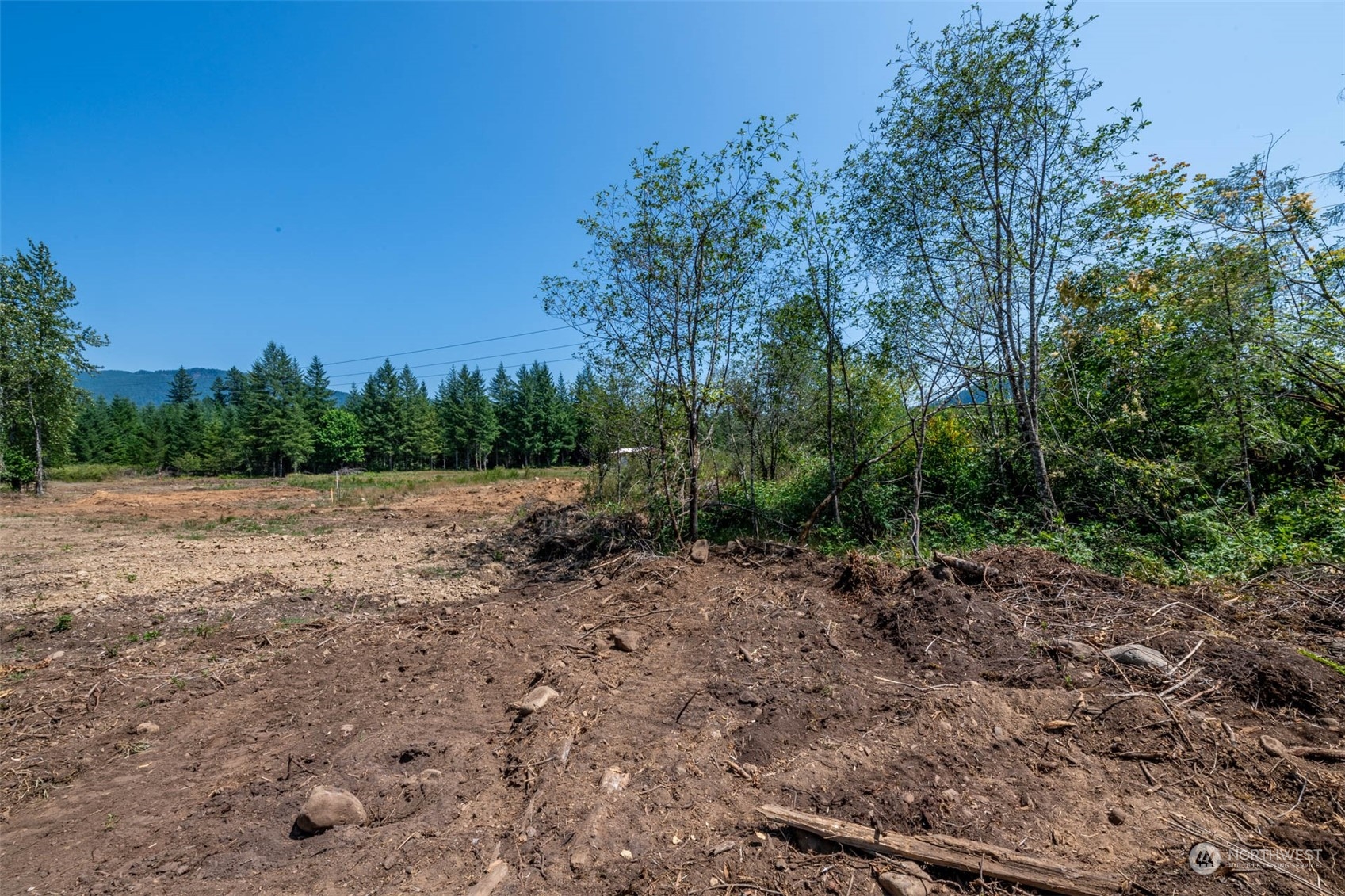 197 Obsidian Drive Ariel, WA 98603 - Photo 2 of 19 a view of a yard with a tree