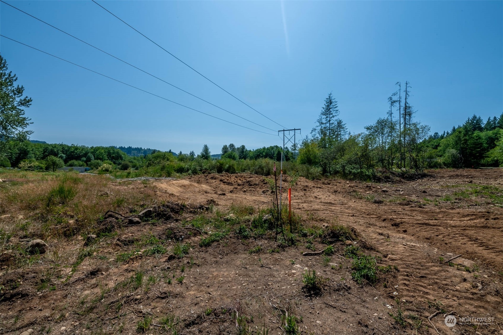 197 Obsidian Drive Ariel, WA 98603 - Photo 5 of 19 a view of a field with trees in background