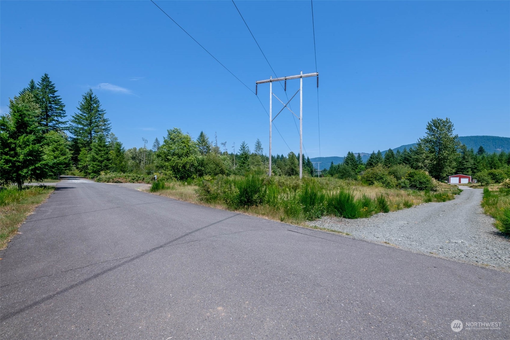 197 Obsidian Drive Ariel, WA 98603 - Photo 7 of 19 a view of a field with plants and trees