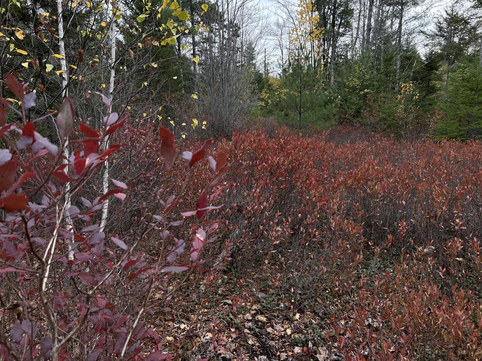 401 Genthner Road Waldoboro, ME 04572 - Photo 25 of 35