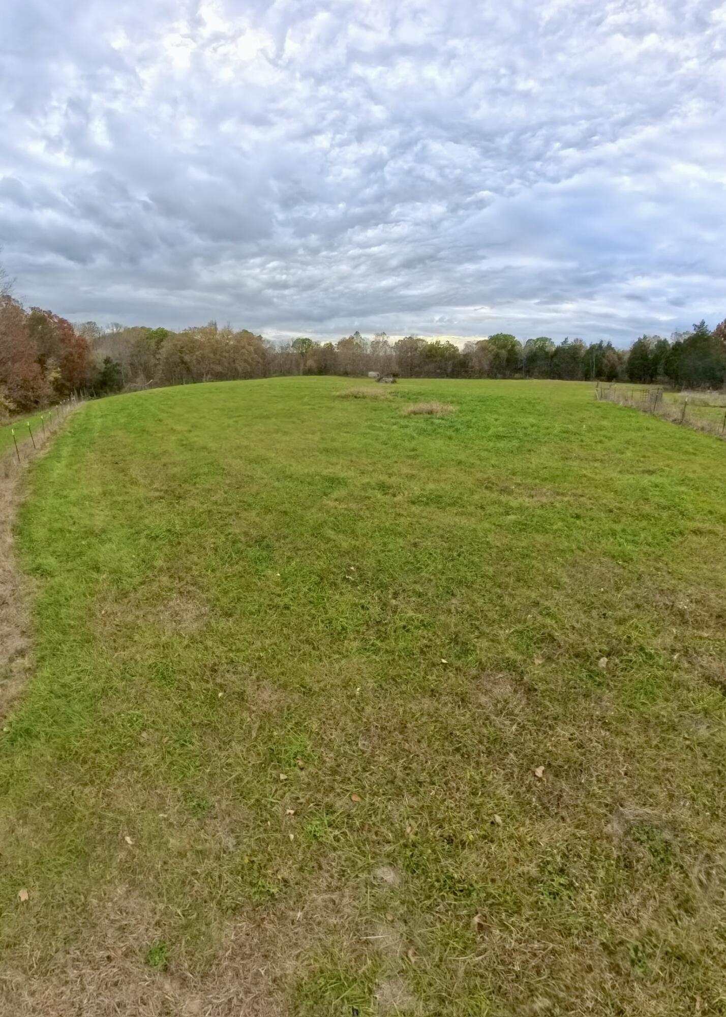 110 Stringtown Cemetery Road Crab Orchard, KY 40419 - Photo 21 of 29 IMG_20241031_192746_558