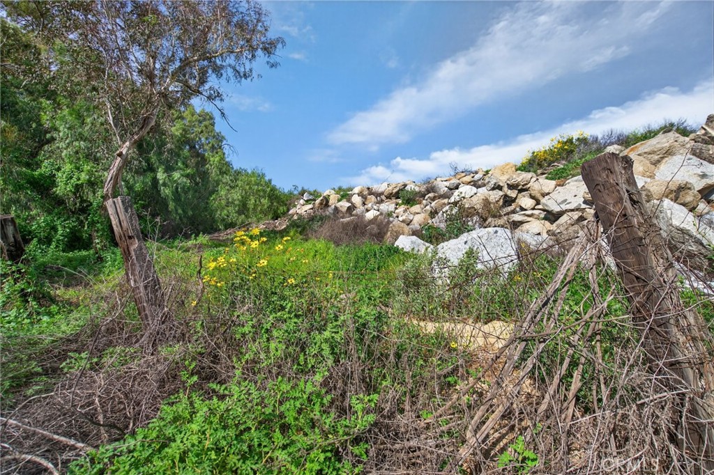 14435 Wood Road Riverside, CA 92508 - Photo 46 of 66 a view of a garden with plants and large trees