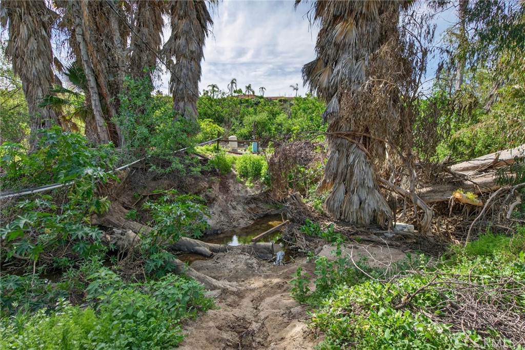 14435 Wood Road Riverside, CA 92508 - Photo 47 of 66 a backyard of a house with lots of green space
