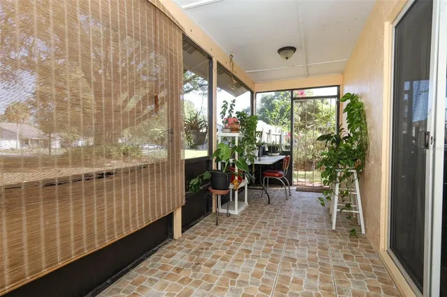 a view of a small yard in front of a house with large tree