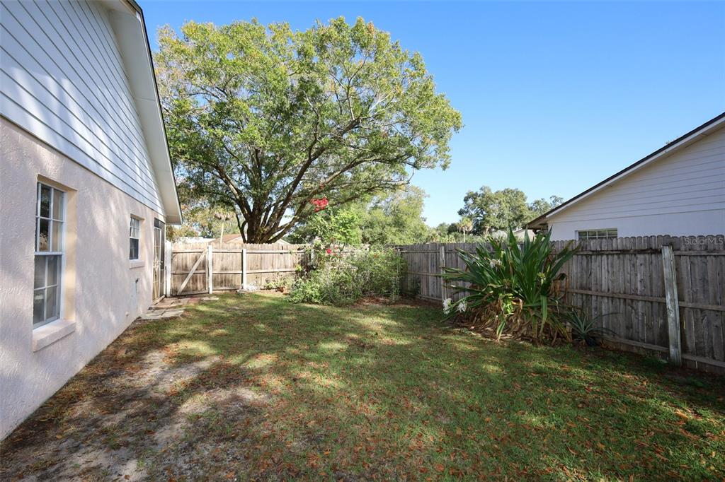 1531 Lawndale Circle Winter Park, FL 32792 - Photo 31 of 44 a view of a yard with plants and large tree