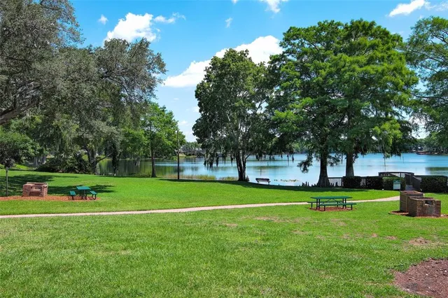 a view of a garden with plants