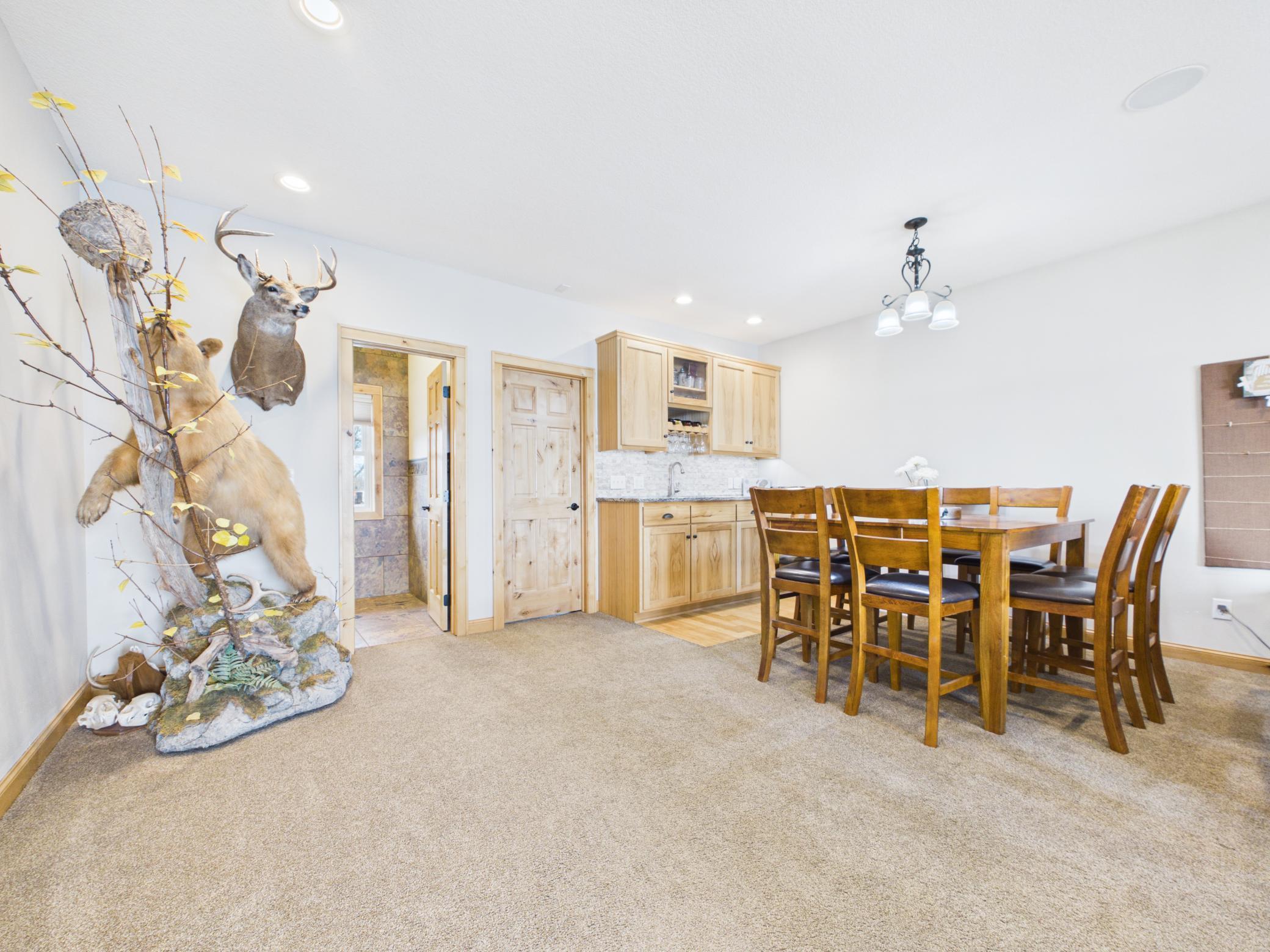 25797 Silver Beach Road Glenwood, MN 56334 - Photo 9 of 41