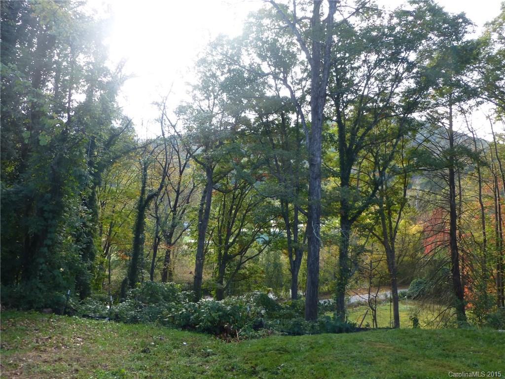 59 Gash Farm Road Asheville, NC 28805 - Photo 21 of 24 Gallery Image 21