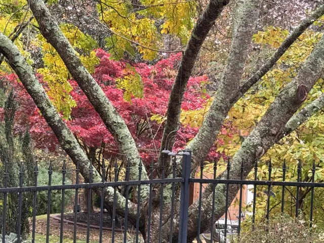 $2,790,000 | 200 Johnson Road, Suwanee, GA 30024