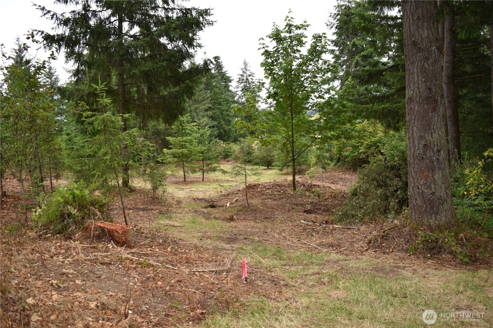 12345 Case Road Southwest Olympia, WA 98512 - Photo 4 of 35