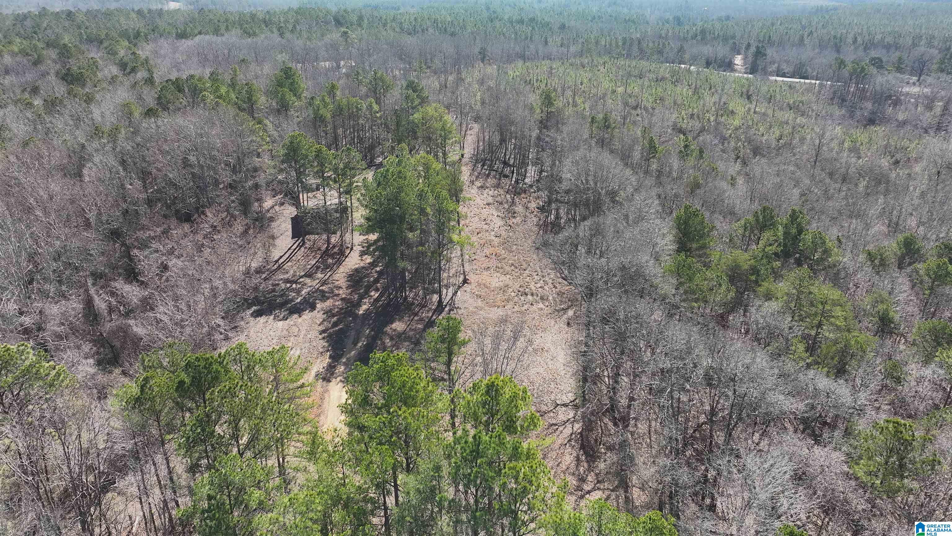 6171 Highway 102, Unit 1 Fayette, AL 35555 - Photo 35 of 68