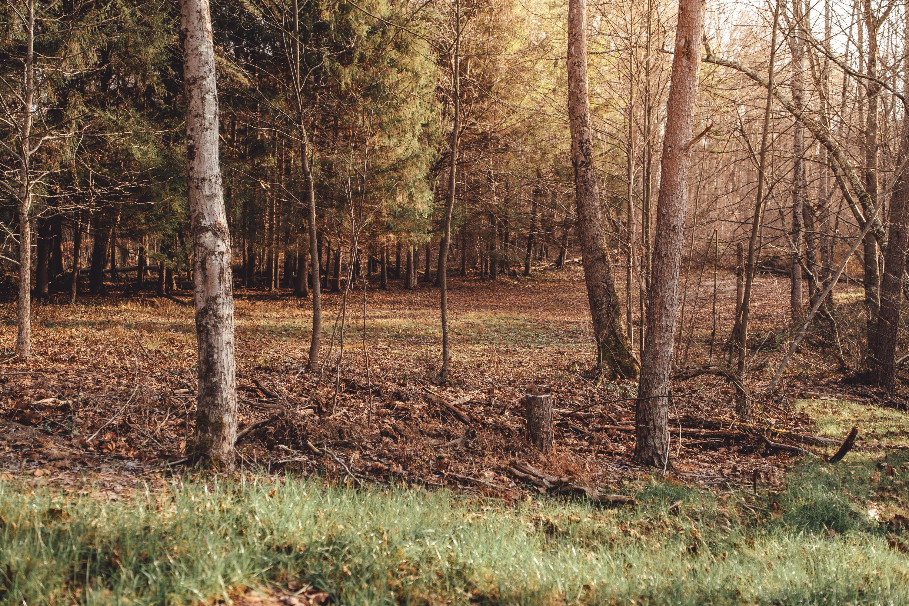 22959 Bigham Road Rockbridge, OH 43149 - Photo 28 of 50 DSC03941