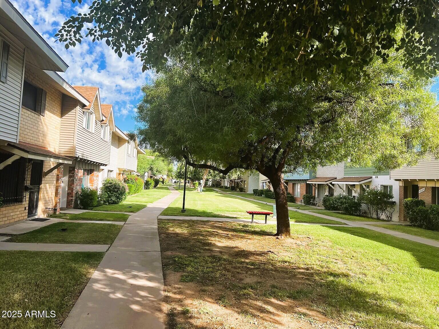 a view of a park with large trees