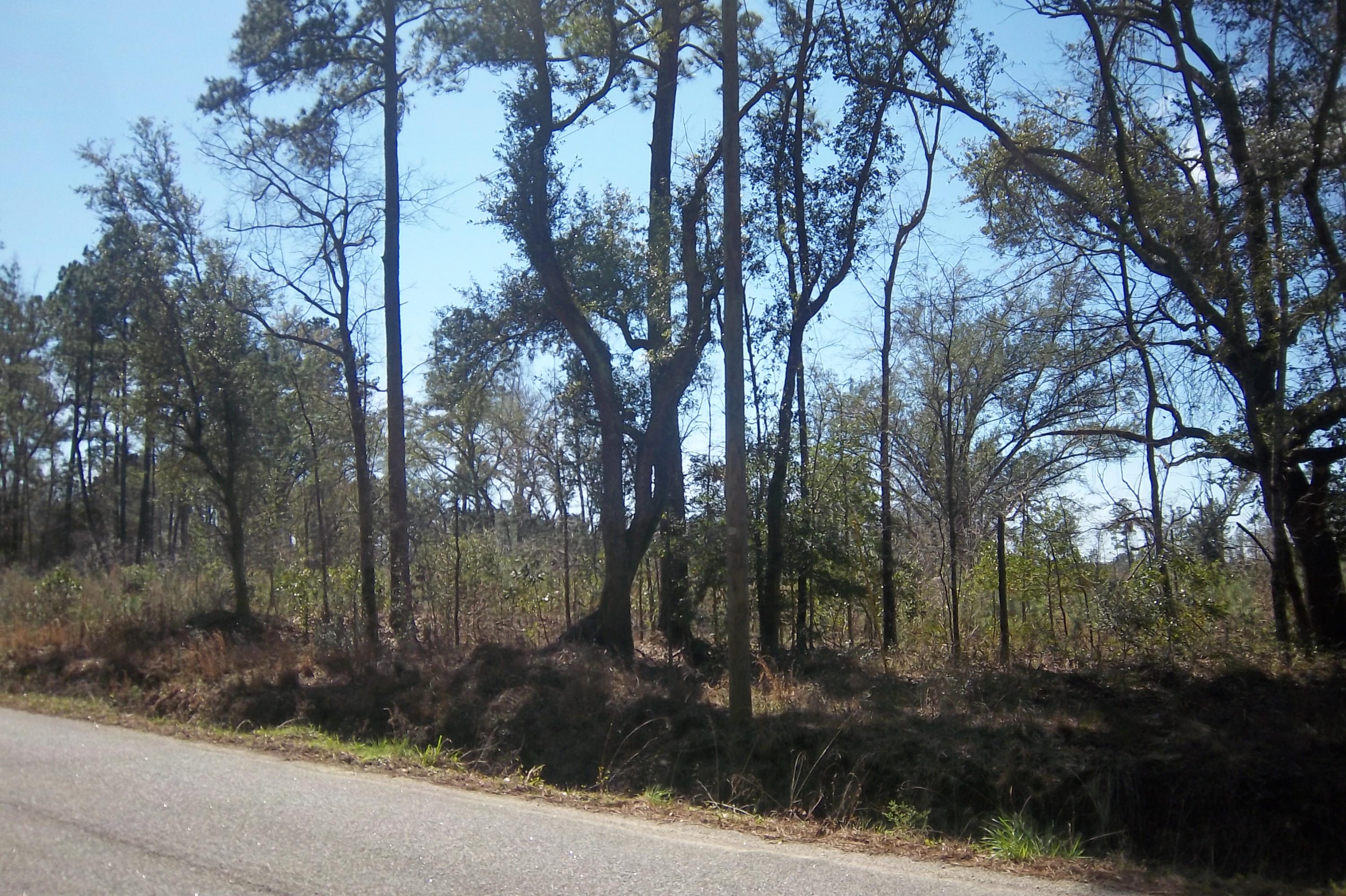1 Salem Road Dorchester, SC 29437 - Photo 1 of 4 Photo 1