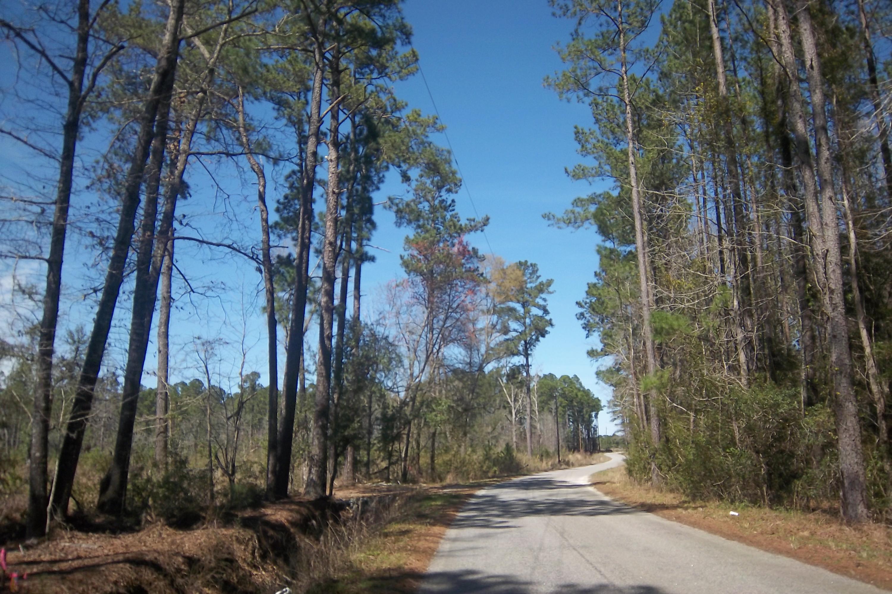 1 Salem Road Dorchester, SC 29437 - Photo 3 of 4 Road View