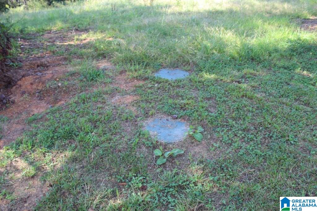 1806 St Mary Road Lincoln, AL 35096 - Photo 5 of 32