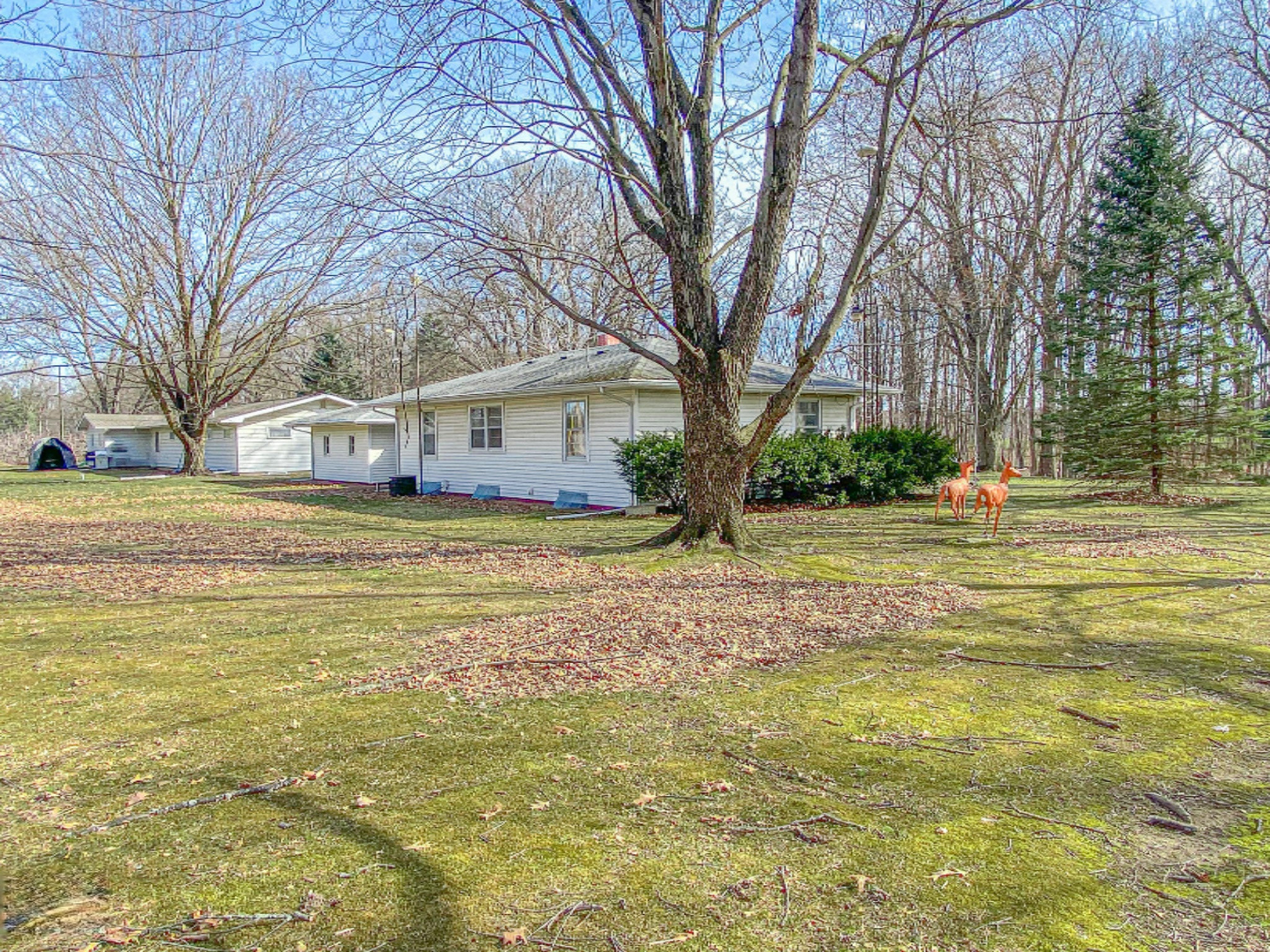87868 60th Street Decatur, MI 49045 - Photo 27 of 39 IMG_1712