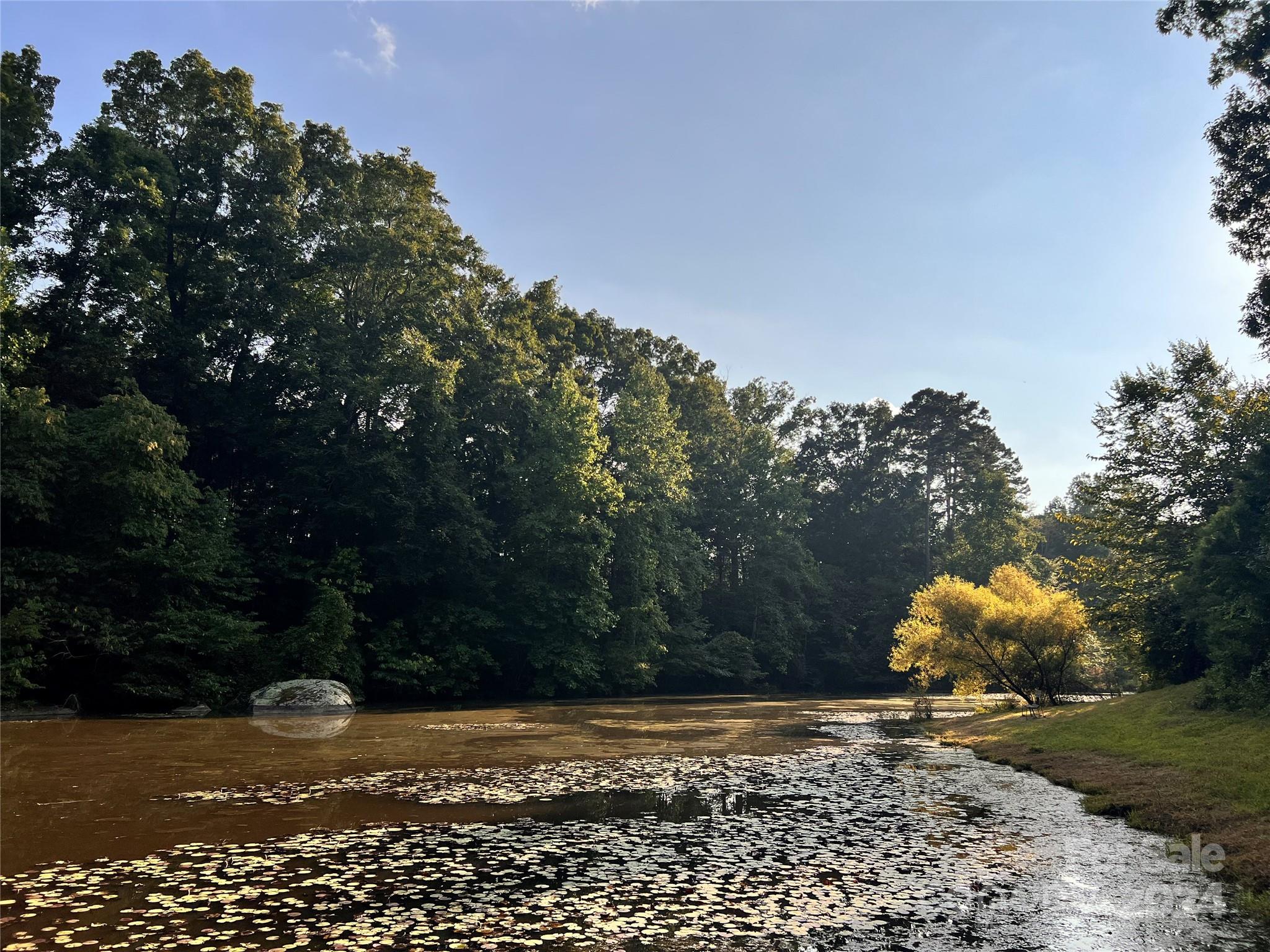 17345 Shearer Road Davidson, NC 28036 - Photo 6 of 15