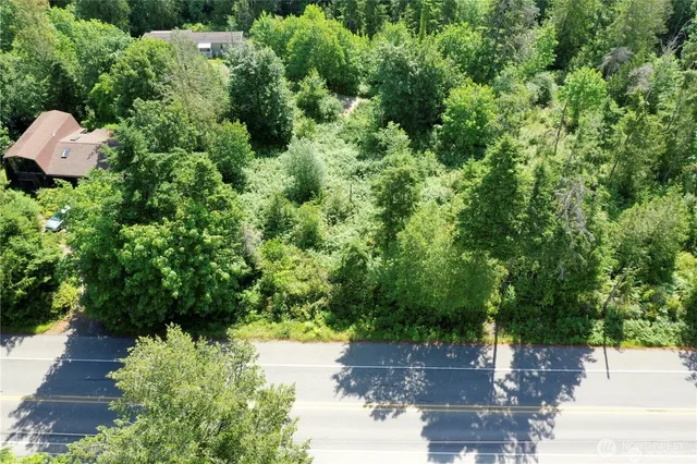 a view of a lake with a tree
